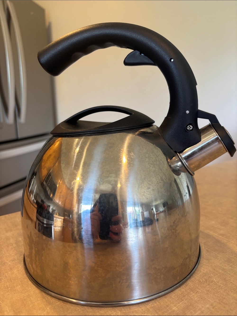 Stainless Steel Whistling Tea Kettle with Black Handle